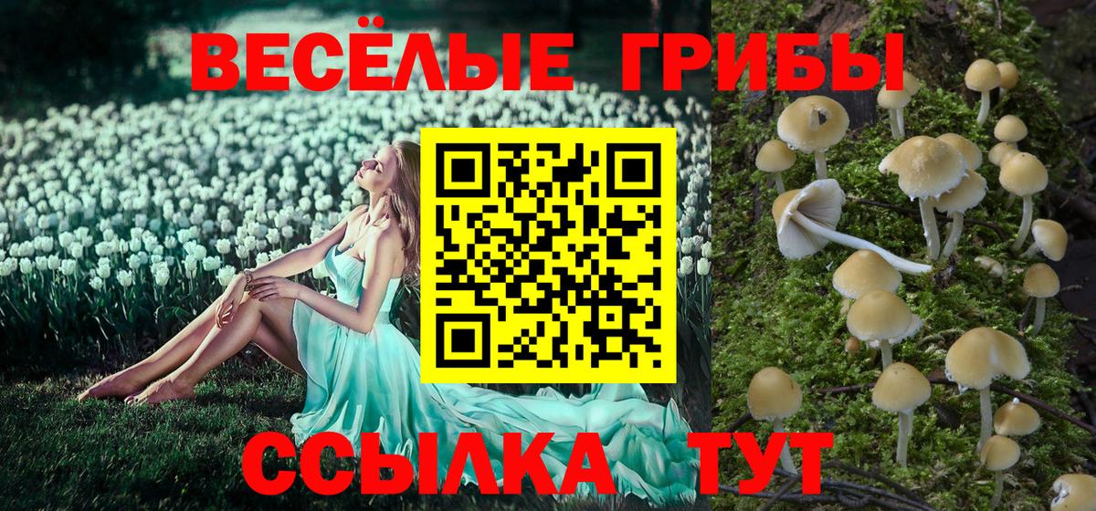 Мирный  Галлюциногенные грибы Cubensis  Вход с VPN 